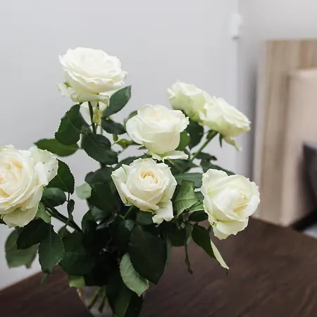 на площі ринок * Λβιβ