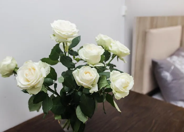 на площі ринок * Lvov